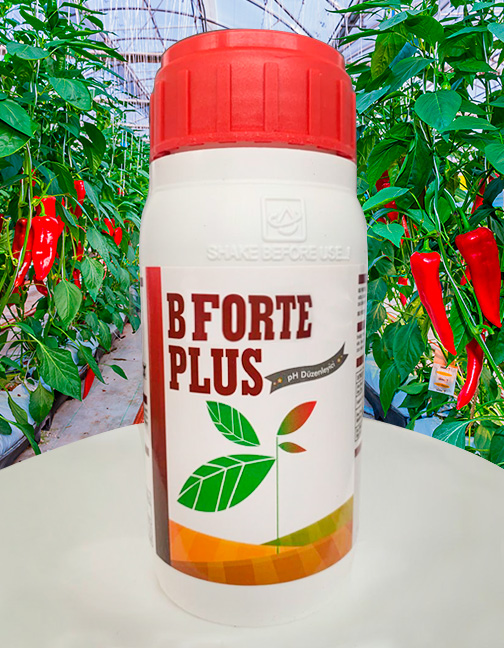 BFORTE PLUS ®