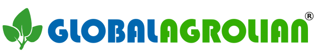 logo-img