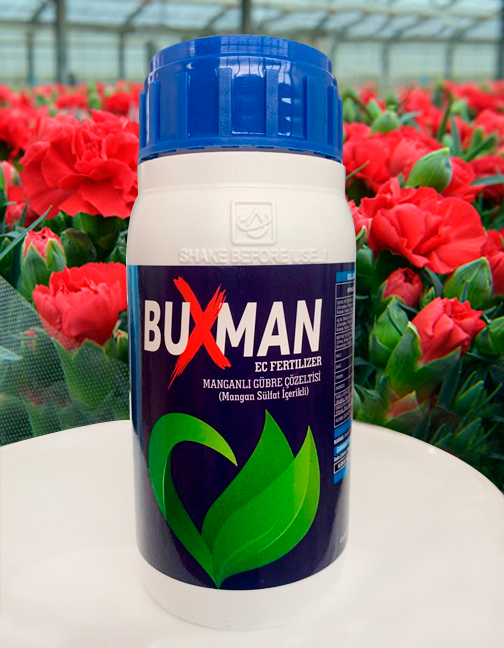 BUXMAN